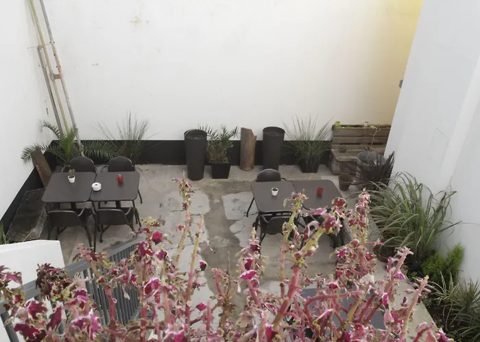 Procyon Boutique & Suites